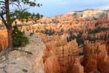 Spettacolari scorci del Bryce Canyon
