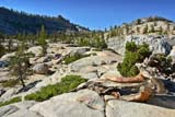 Paesaggi dello Yosemite