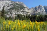 Paesaggi naturali dello Yosemite