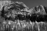 Paesaggi naturali dello Yosemite (b/n)
