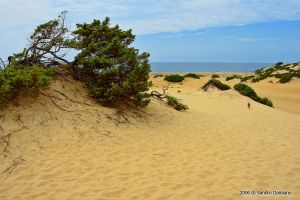Dune di sabbia di Piscinas