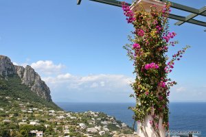 Terrazzo fiorito a Capri