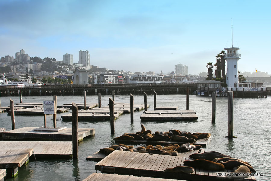 Il molo più visitato di San Francisco: il Pier 39