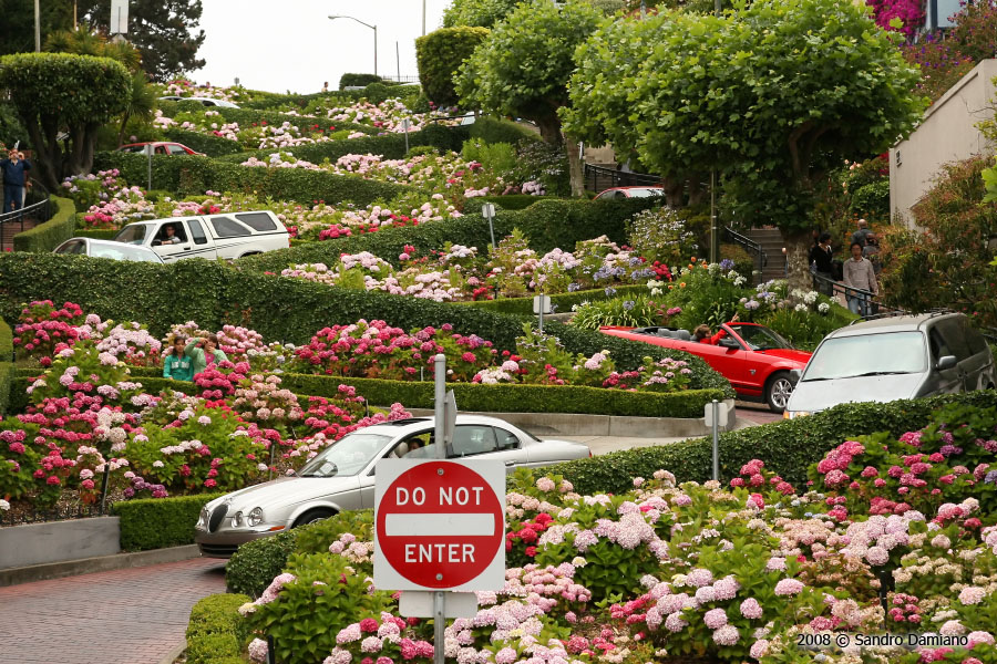 La strada più tortuosa al mondo: la Lombard Street