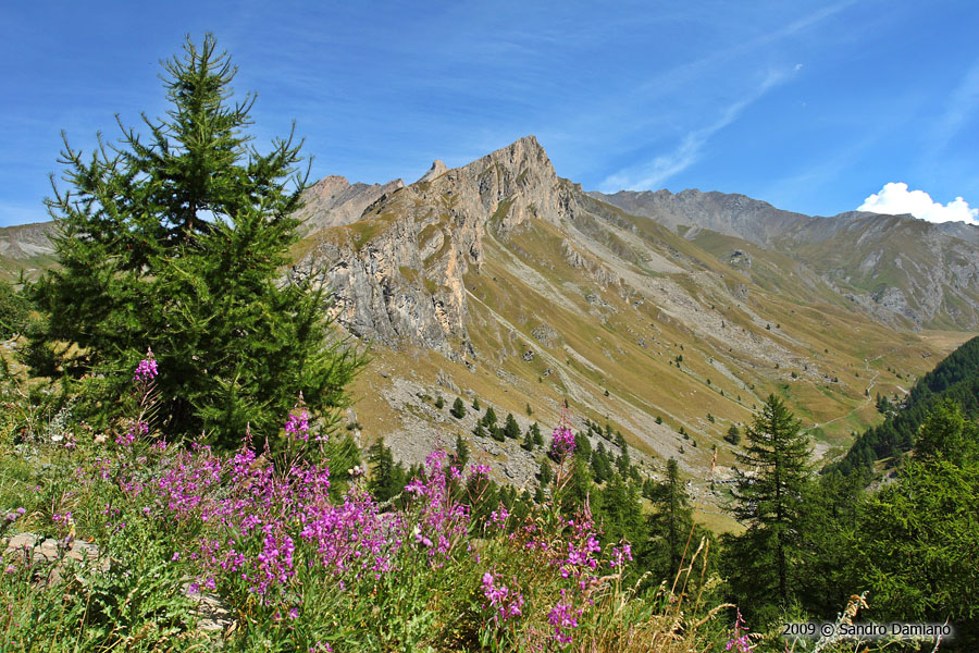 Scorcio della Val Varaita