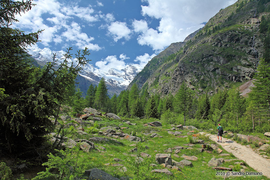 Passeggiando nel Parco del Gran Paradiso