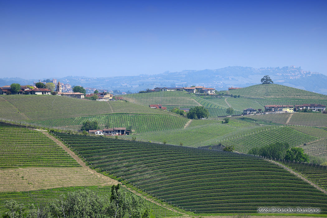 Le Langhe nei dintorni di Barolo