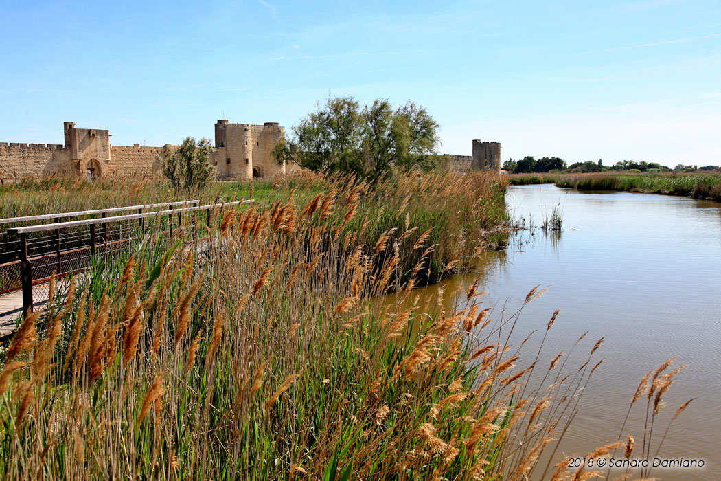 Paludi intorno ad Aigues-Mortes