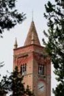 Campanile della Abbazia di Monte Oliveto Maggiore
