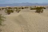 Le dune di sabbia (Sand Dunes)