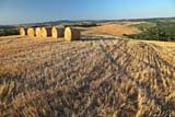 Paesaggi delle Crete