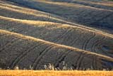 Calde luci tra le sinuose colline