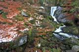 Cascate di Triberg