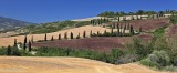Strada di cipressi alla Foce